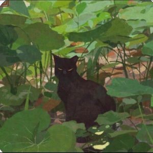 Meet your Posher, Raven